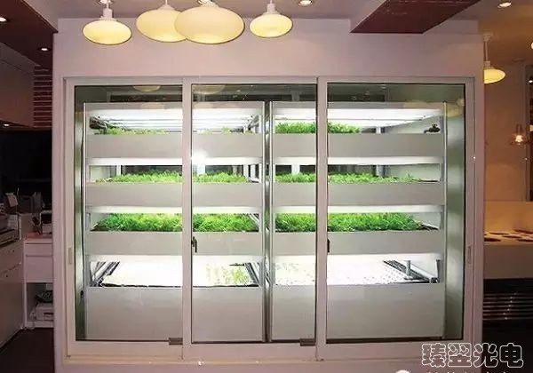 光纖照明，光導照明，植物栽培
